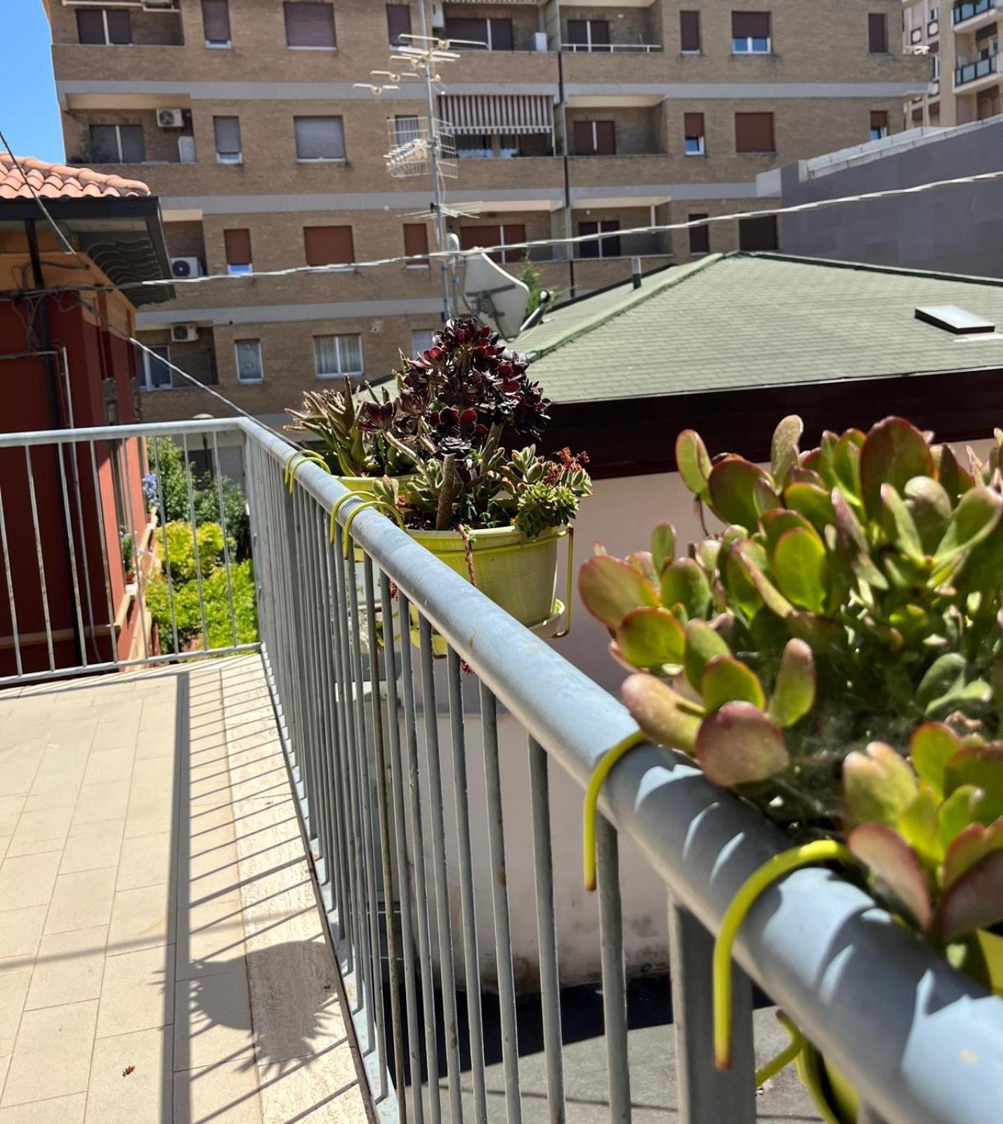 Bed And Breakfast Sofia 佩斯卡拉 外观 照片